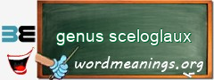 WordMeaning blackboard for genus sceloglaux